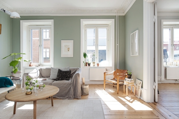 aménagement salon cozy aux murs verts et plafond blanc avec plancher de bois, peinture vert d'eau ou vert gris pour salon