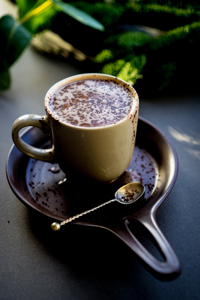 boisson chaude au lait et cacao en poudre, recette chocolat chaud facile, idée boisson pour Noel au chocolat