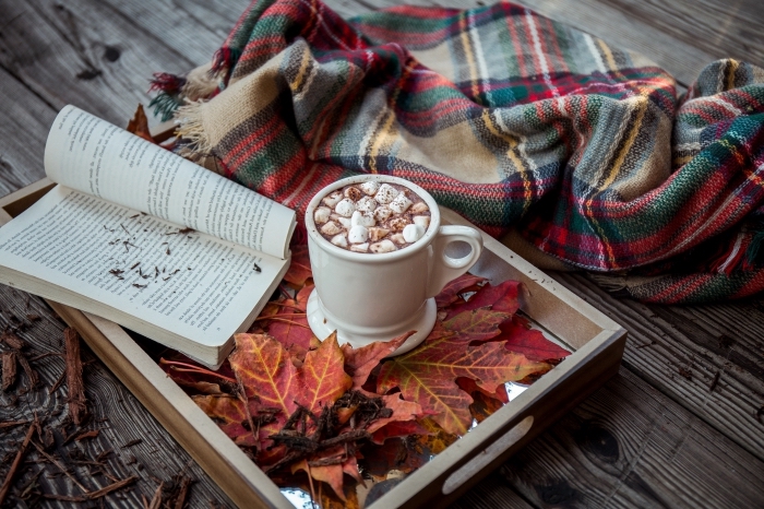 comment faire un chocolat chaud, ambiance cozy avec livre et mug boisson chaud au chocolat fondu et lait parfumé à la menthe