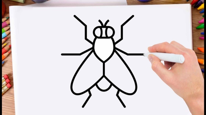 Apprendre à dessiner, mouche dessin facile a reproduire, photo pour apprendre les étapes des lignes simples a feutre 