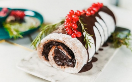 idée buche chocolat avec farce de crème aux noisettes ganache chocolat et canneberges