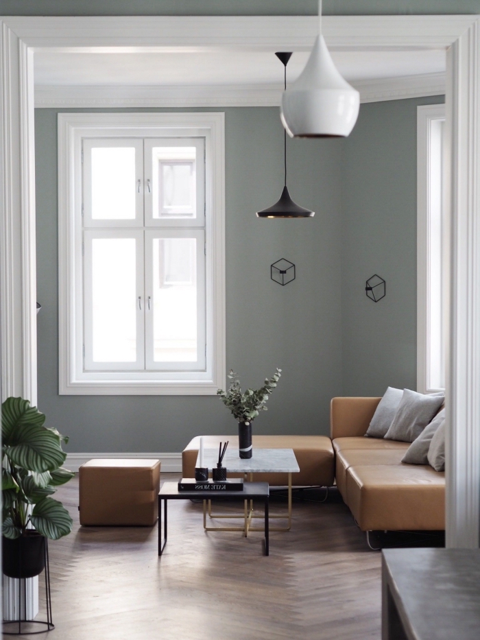 exemple de peinture grise dans un salon minimaliste avec parquet bois et plafond blanc, déco avec plantes vertes