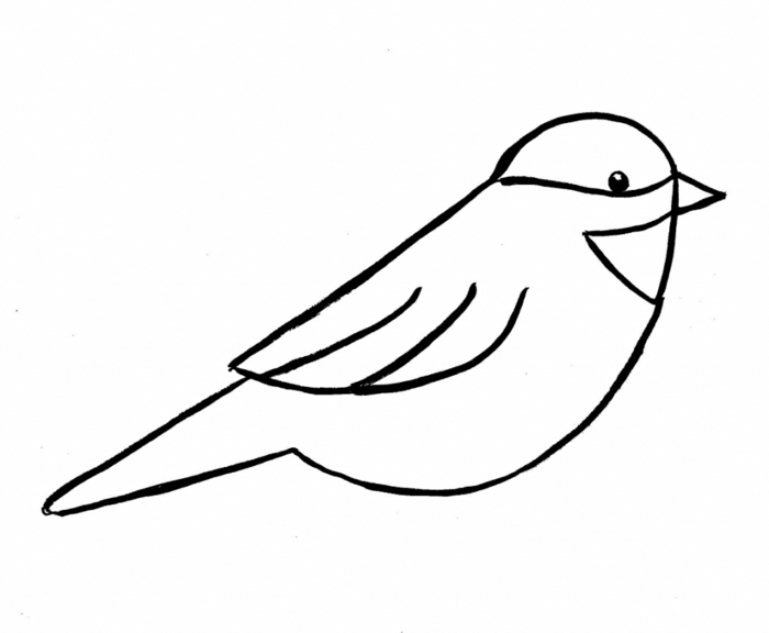 Comment dessiner des animaux dessin facile a faire etape par etape choix dessin de oiseau simple