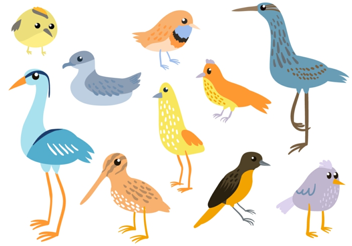 Dessins facile à faire, apprendre à dessiner, simples lignes pour apprendre comment le faire, les différents oiseaux
