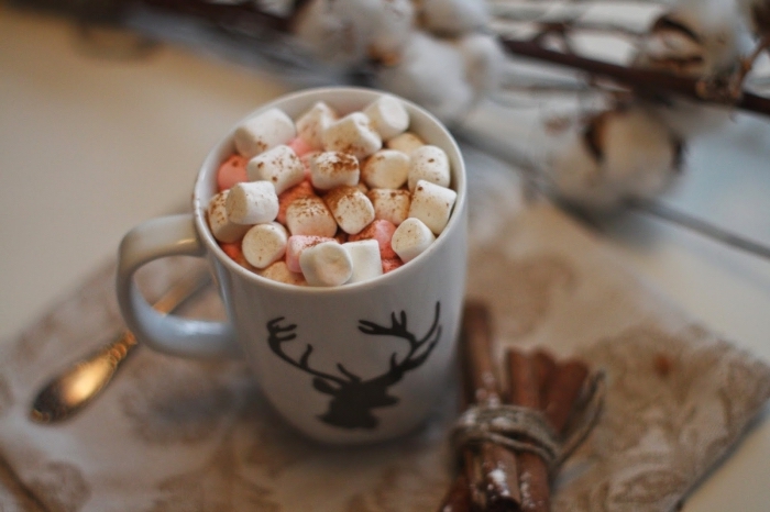 faire un vrai chocolat chaud, mug café personnalisé pour Noël, idée comment garnir un chocolat chaud aux guimauves 