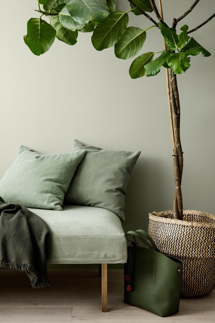 design intérieur avec murs de couleur vert de gris, déco entrée ou couloir aux murs verts avec plantes et accessoires en vert