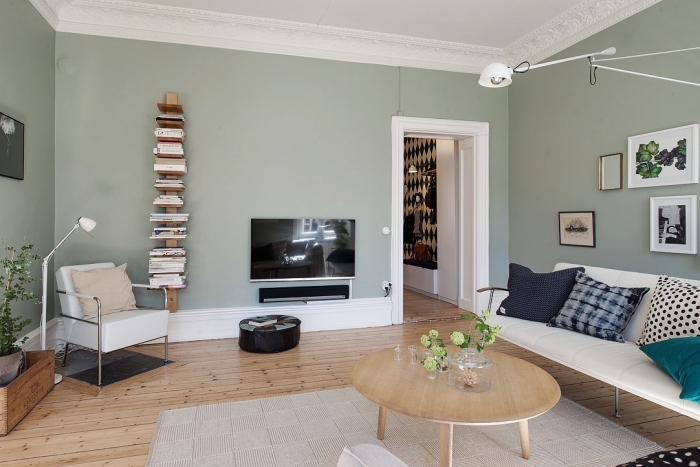 déco de salon scandinave aux murs de couleur vert de gris, meuble rangement livres vertical en bois brut, déco avec plantes vertes