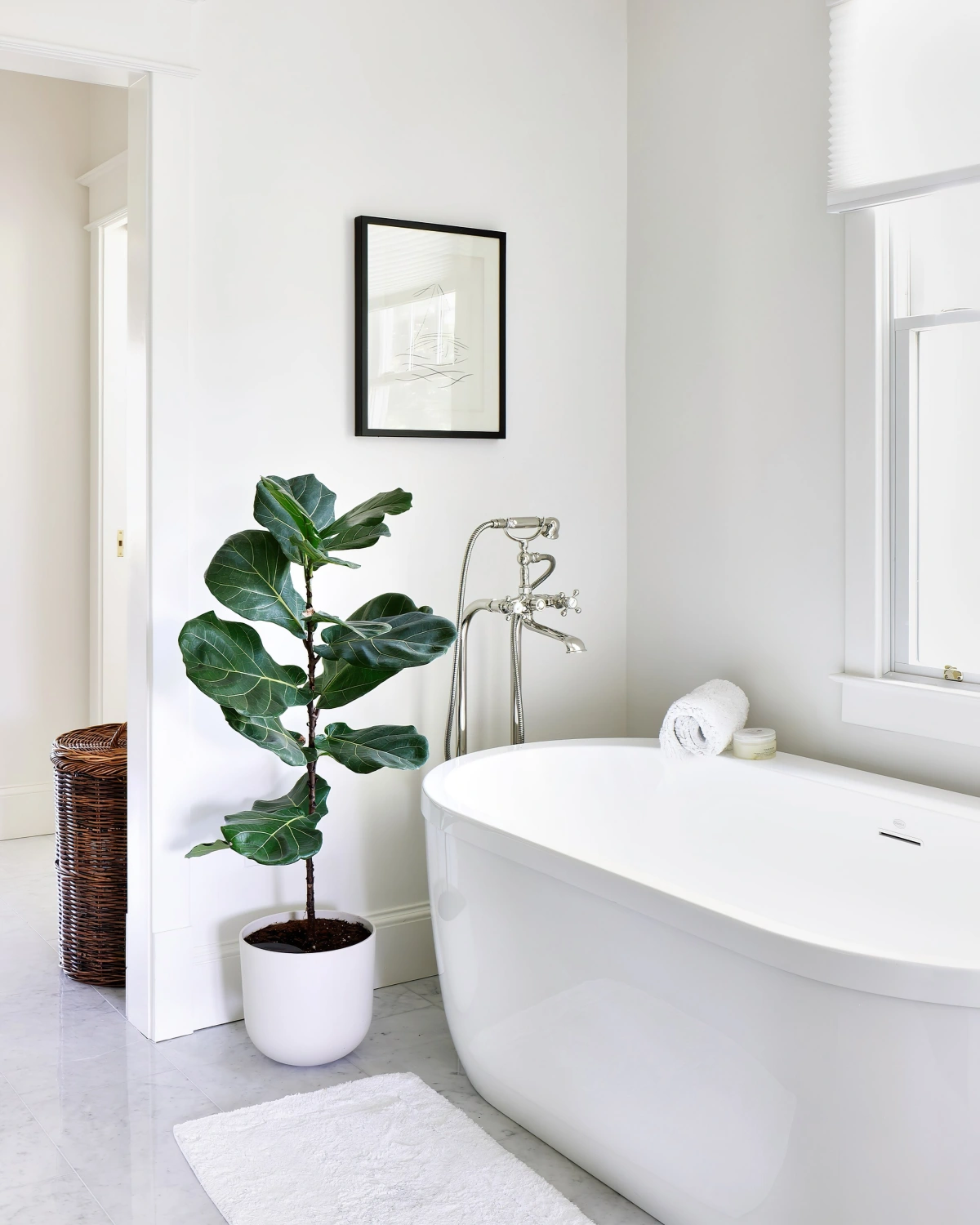 plante verte interieur salle de bain baignoire cadre photo noir