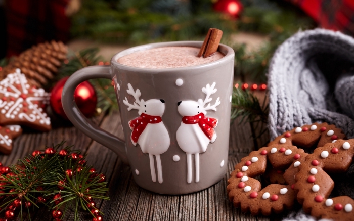comment faire un chocolat chaud pour Noel, mug gris avec cerfs de Noel en relief, recette chocolat chaud a l ancienne parfumé à la cannelle