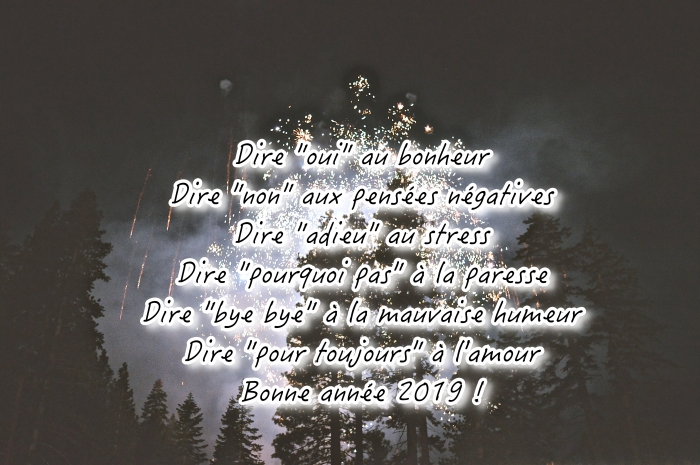 carte de voeux numérique pour nouvel an, idée souhaits nouvel an originaux, photo célébration de nouvel an avec feux d'artifice
