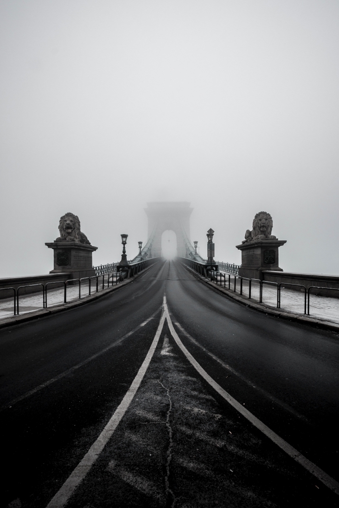belle photo noir et blanc du pont des chaînes à budapest en hongrie et ses deux statues représentant deux lions gardiens 