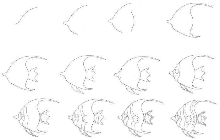 idée de dessin animal de mer, comment dessiner au crayon une poisson, technique dessin facile pour débutant