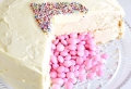 Comment faire un gâteau surprise – plus de 60 idées gourmandes pour chaque occasion
