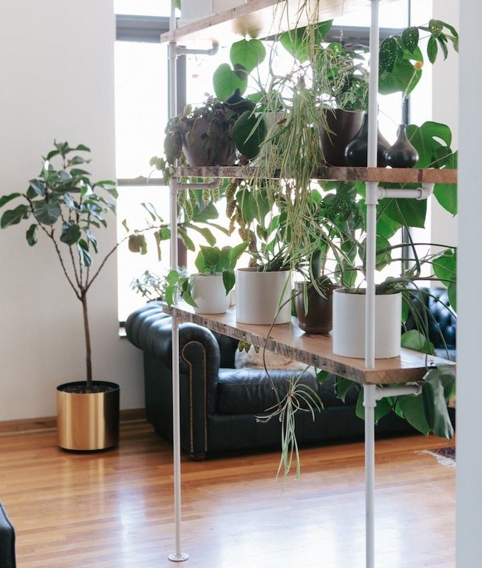 étagère bois et blanc surchargée de pots de plantes vertes dans un salon avec parquet bois clair, canapé noir, cloison de séparation mur végétal