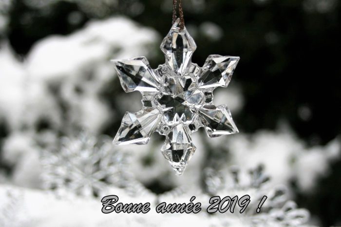 photo hiver avec mots bonne année, photographie collier à design flocon de neige en verre, carte numérique nouvel an
