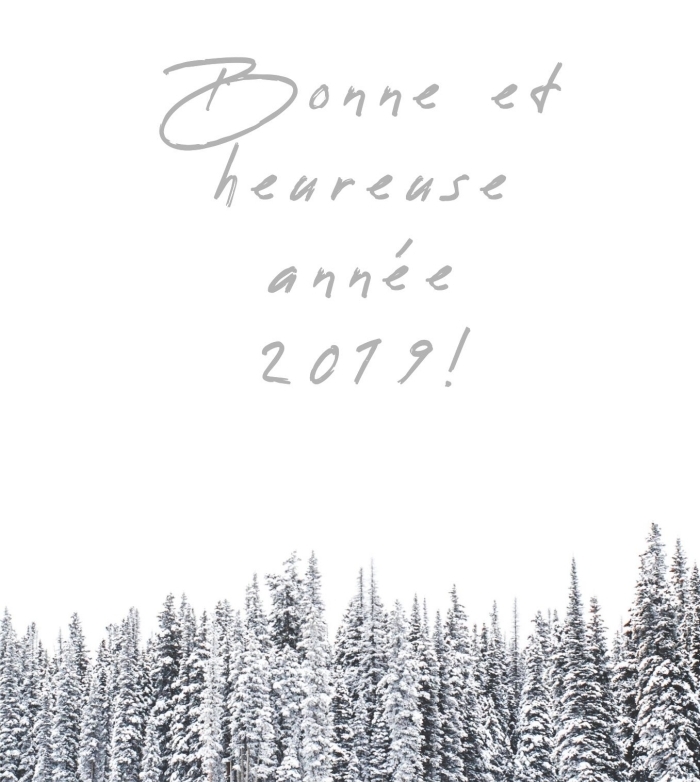 photo forêt enneigé avec souhait nouvel an, carte de voeux nouvelle année 2019, idée fond d'écran iphone nouvel an