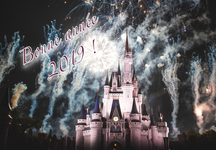idée carte de bonne année 2019, photo château et spectacle de feux d'artifice, célébration de nouvel an dehors