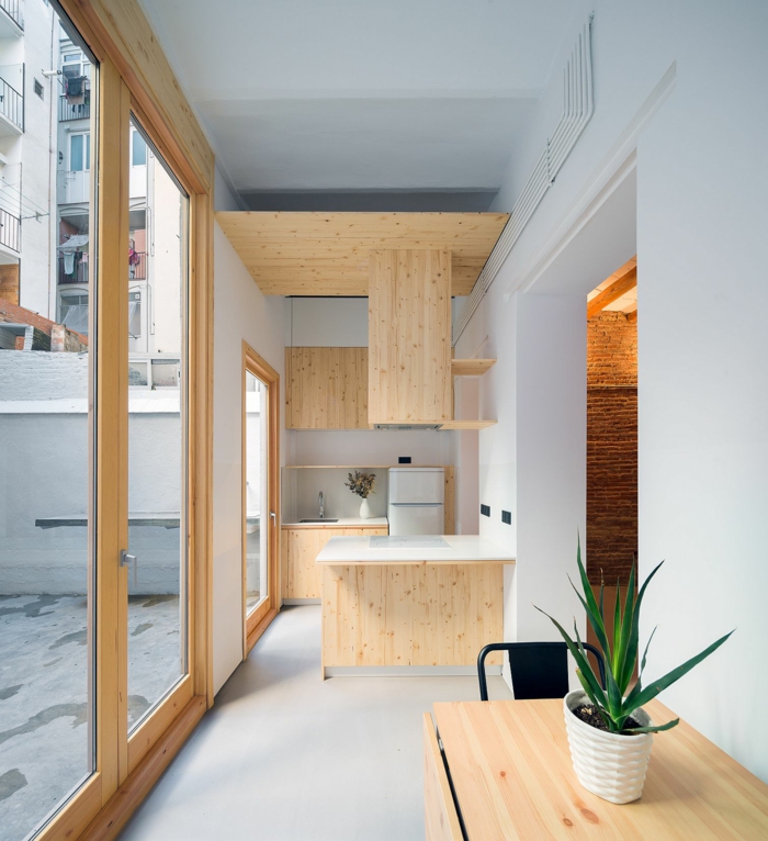 cuisine en gris et bois aux murs vitrés, pot de fleur, aménagement petit espace, cuisine style minimaliste