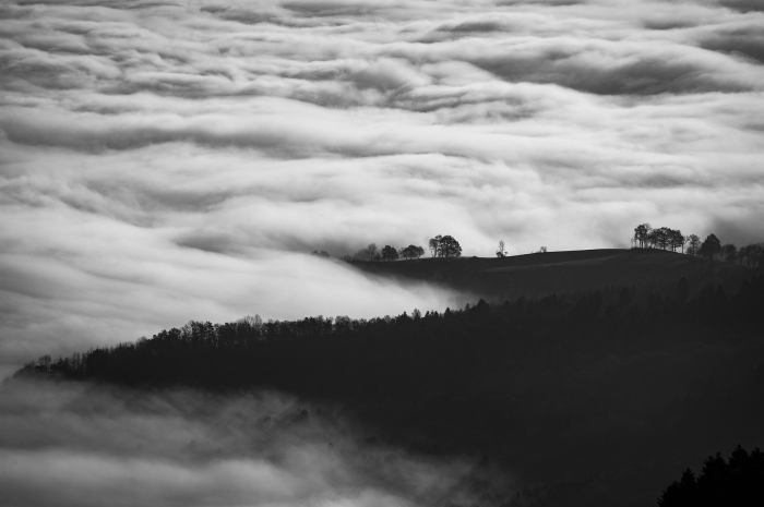 les plus belles images paysages de nature, joli cliché noir et blanc de nuages flottantes en dessus la forêt