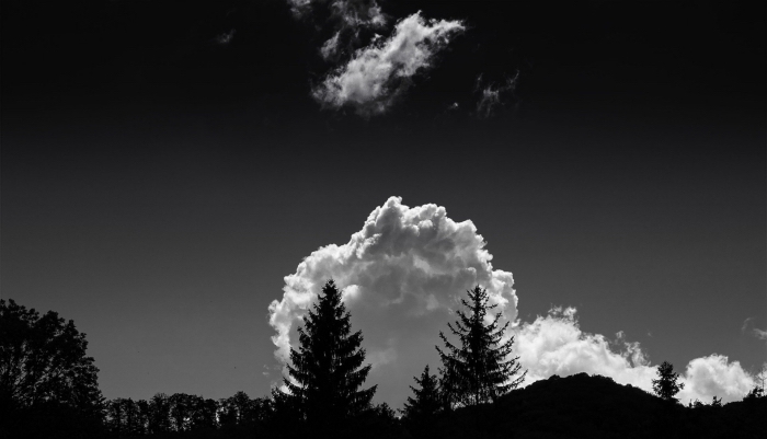 belle image noir et blanc d'un nuage blanc et cotonneux au-dessus de la forêt qui se détacher sur le fond du ciel gris foncé