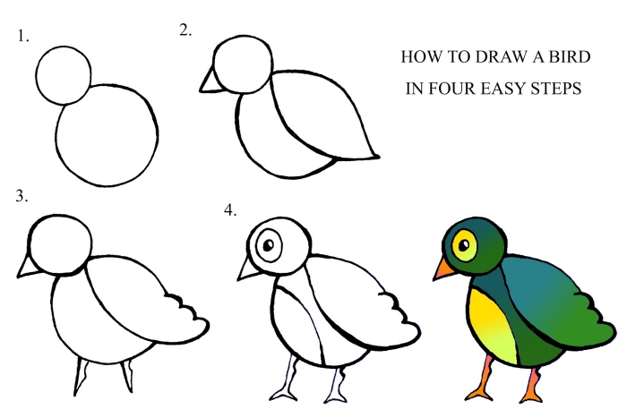 réaliser un dessin facile d'oiseau pas à pas, tutoriel comment dessiner un oiseau facile