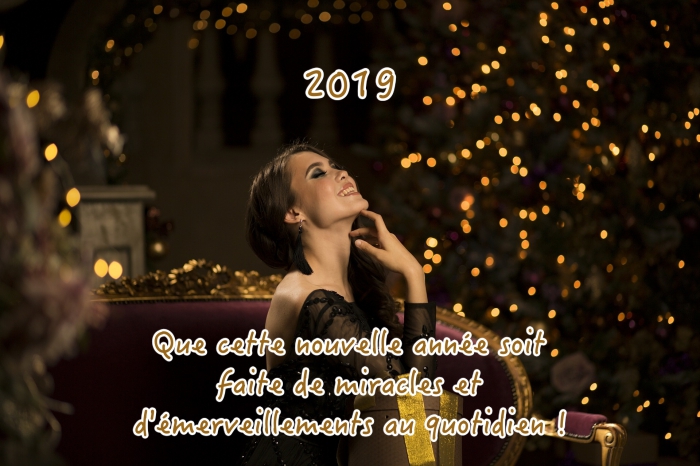 bonne annee 2019, photographie fêtes fin d'année, image célébration de noel ou nouvel an avec voeux 2019
