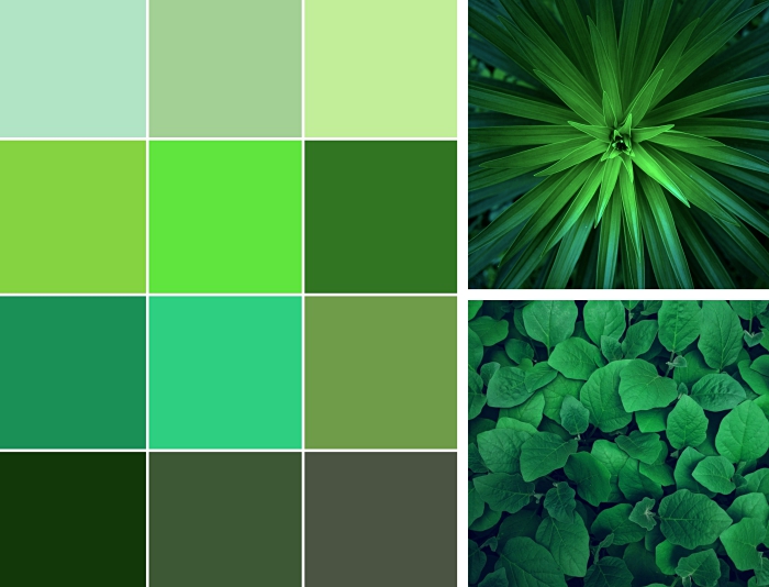 idée peinture vert de gris, quelle couleur associer au vert anis, comment intégrer les nuances de vert dans la déco