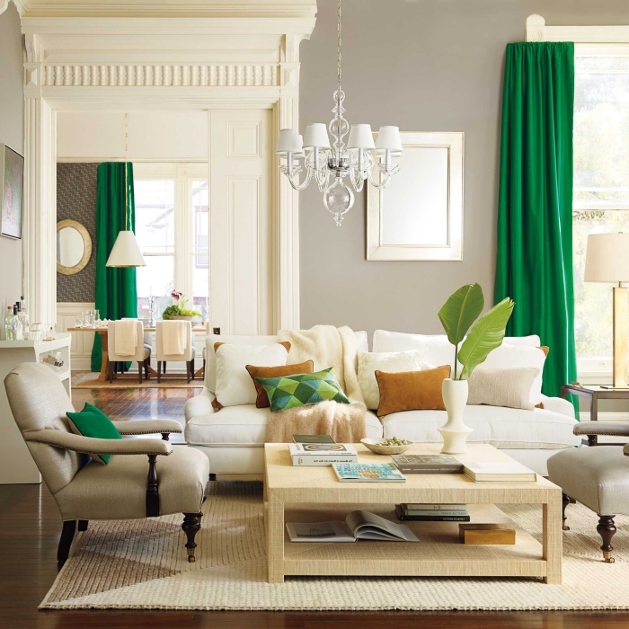 exemple de salon cozy au plancher de bois foncé, déco salon aux murs gris clair avec objets de nuances de vert