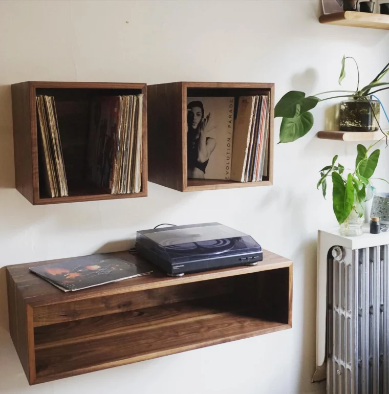porte vinyle murales etageres cubes bois fonce plantes vertes