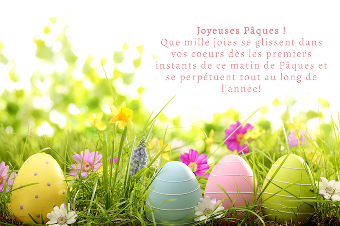 Photo joyeuses paques, humour image de pâques coloré, representation visuelle de mes voeux