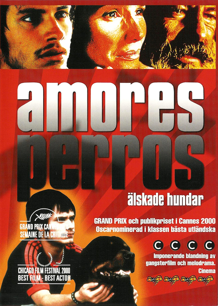 affiche de amours chiennes premier film de Alejandro Gonzalez Iñarritu présenté à cannes en 2000 et grand prix