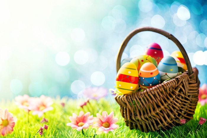 Basket avec des oeufs colorés pour Pâques, pelouse verte fleurie champ de printemps, belle image pour dire joyeuses fetes de paques, carte joyeuses pâques 