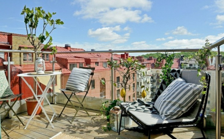 chaises fauteuil metallique décorés de coussins gris et blanc revetement sol bois citrons en pot decoration exterieur terrasse