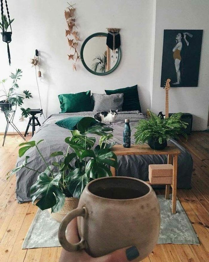 Tasse à café ronde vintage style, décoration plantes vertes, chat sur le lit, deco chambre moderne, chambre adulte déco scandinave