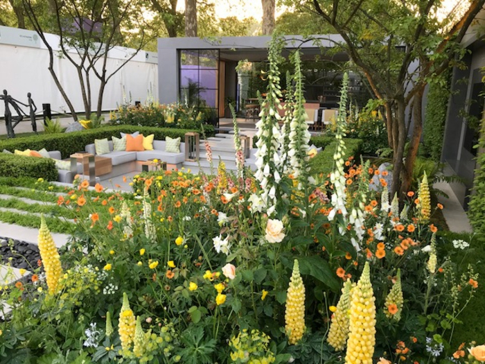 maison moderne avec grand jardin, mobilier de jardin moderne, massif jardin avec fleurs haute taille