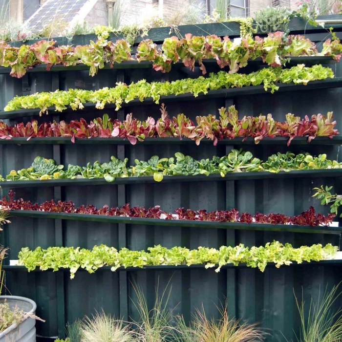 potager vertical mural réalisé à partir des gouttières recyclées, faire pousser des plants salades dans des gouttières
