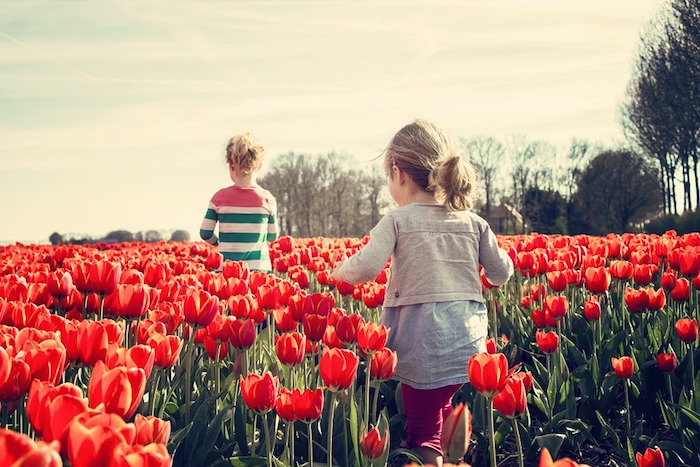 Deux filles qui courent dans un champ fleuri, paysage champetre fond d'écran, tulips fond ecran paysage original, idée fond d'écran jovial
