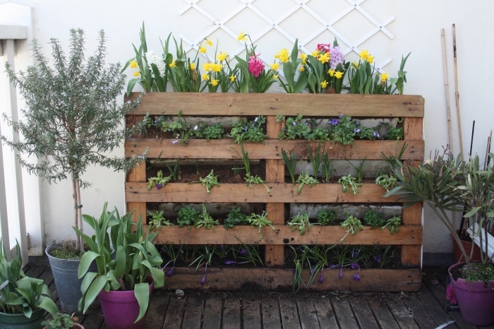 un jardin urbain contemporaine aménagé sur un balcon avec une jardiniere palette recyclée, une jardinière verticale fleurie