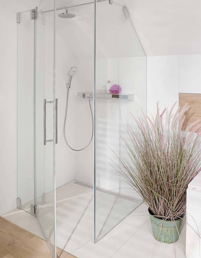 salle de bain blanche avec douche vitrée et plante salle de bain, idée comment aménager une douche sous pente
