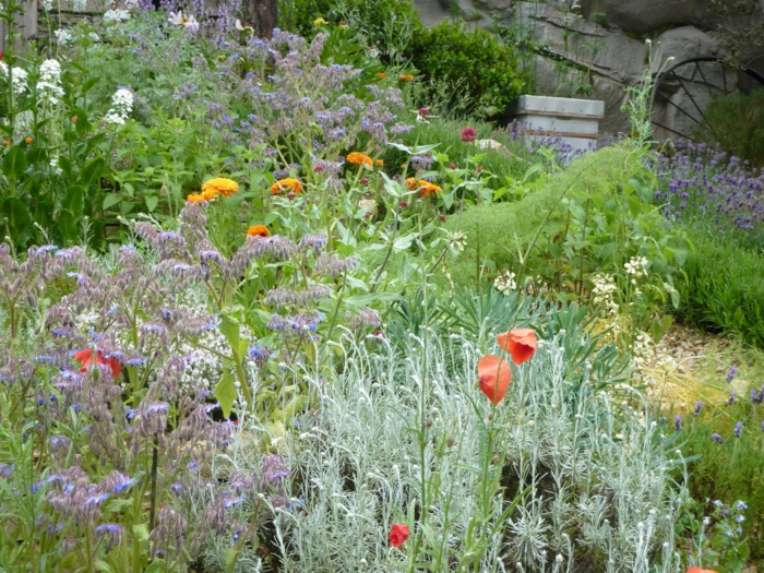 créer un massif sans entretien de vivaces résistantes, jardin sous pente, massif de fleurs