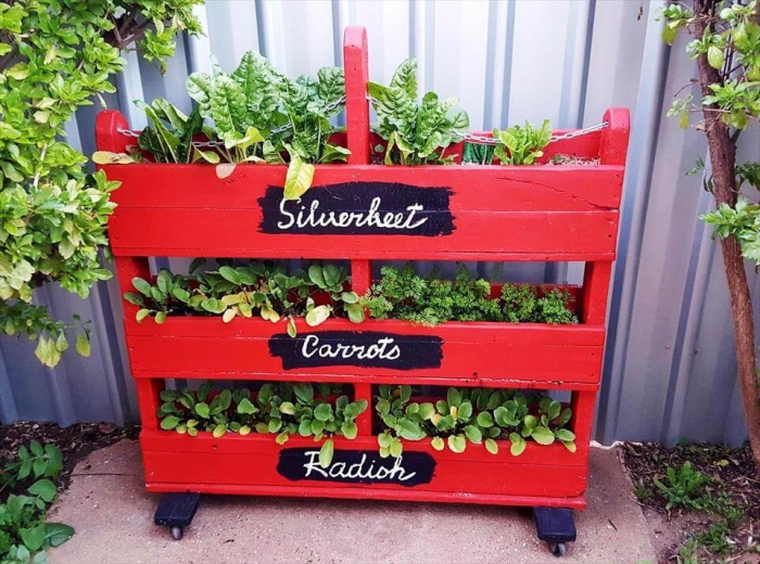 une palette jardiniere verticale repeinte en rouge sur roulettes, faire pousser des salades et des légumes à la verticale