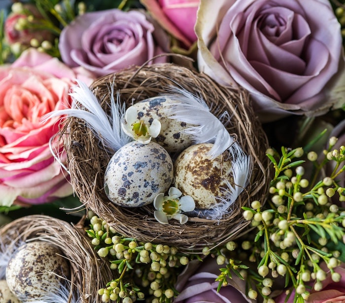Bouquet de roses et petits baskets d'oeufs décorés pour les paques, dessin oeuf de paques, joyeuses paques, images couleurs pastel