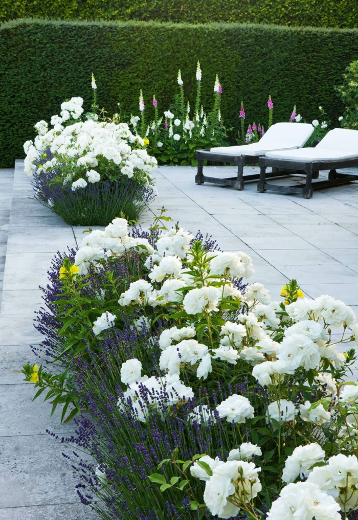 jardin paysager moderne, massif fleurs blanches, deux chaises longues, massif jardin