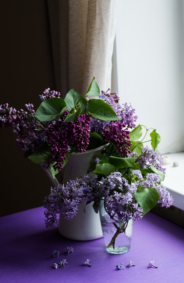 Bouquet de fleurs de printemps, vase de syringa violet, fenetre et rideau, table violet, idée image à envoyer poue la fete des paques, image de pâques, carte joyeuses pâques