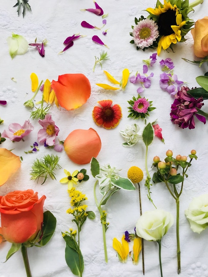 Les fleurs de printemps avec les quelles on peut décorer des oeufs, carte joyeuses pâques, image de pâques, carte de voeux avec photo