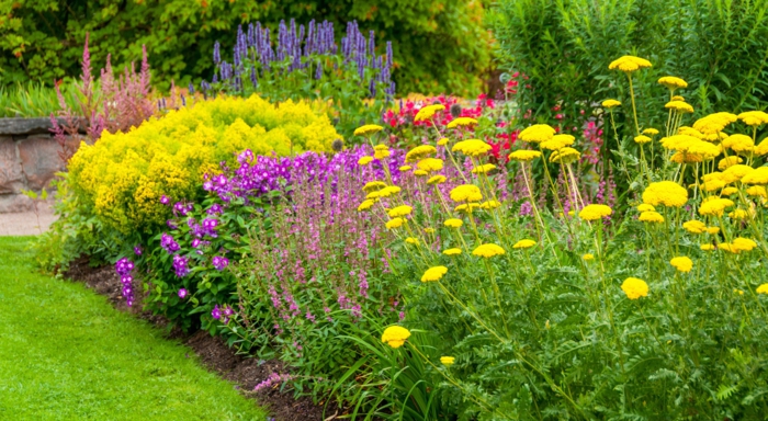 Comment Cr er Un Joli Massif De Fleurs Vivaces Guide L aide Du 