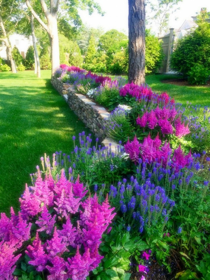 fleurs en rose et bleu, massif de fleurs, bordure fleurie aux couleurs bleu et violet, pelouse verte 
