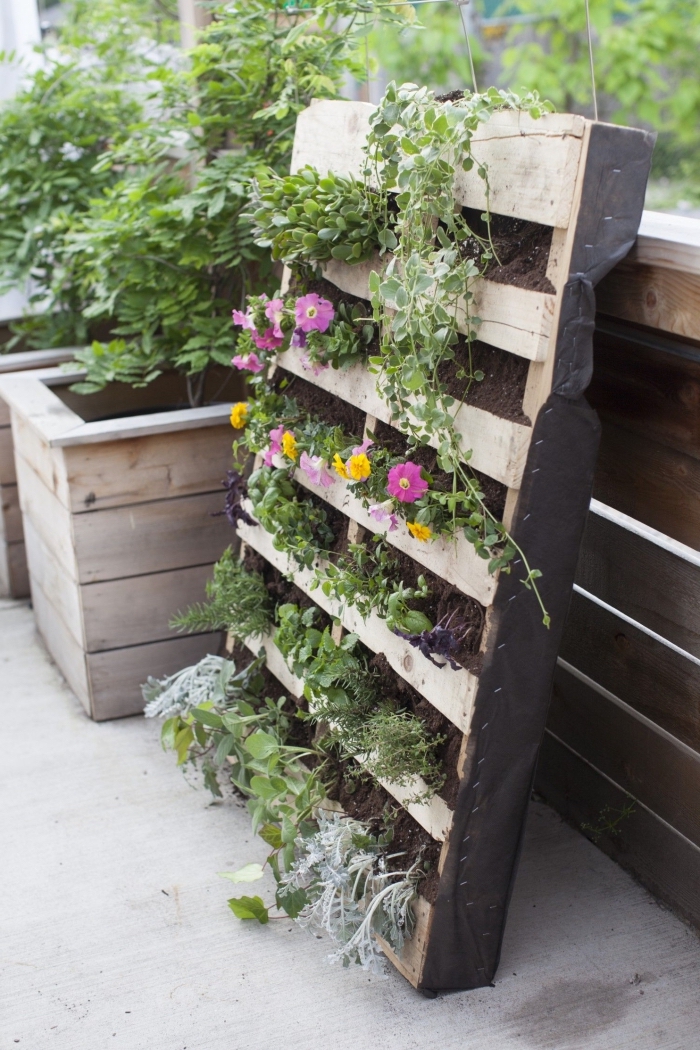 aménagement d'un petit jardin vertical dans une palette, idée de recyclage d'une palette jardinière verticale