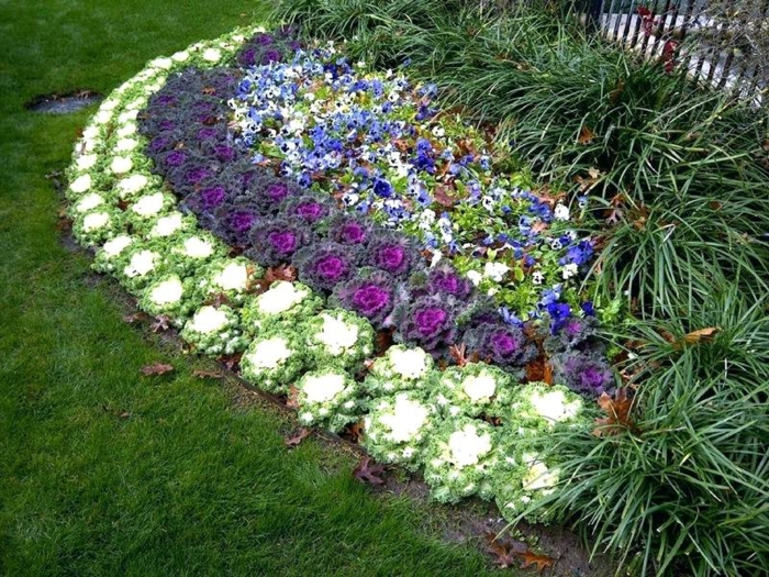 parterre de fleurs en blanc en lilas et bleu, massif fleurs forme arrondie, herbe verte, touffes de feuilles
