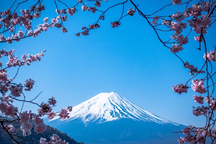 Fond d'écran printemps, paysage de printemps, image jolie fleurie, le mont Fuji et arbres fleuries, japonais cerisier
